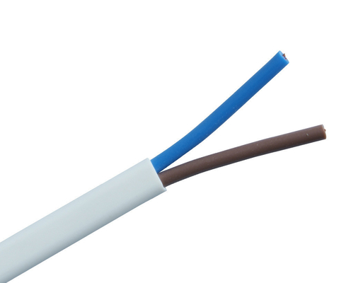 300v RV RVV 전기 케이블 와이어 PVC 단열 및 구리 전도기 4.0mm