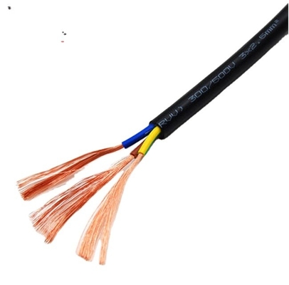 300v RV RVV 전기 케이블 와이어 PVC 단열 및 구리 전도기 4.0mm