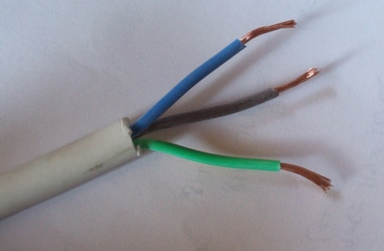 견고한 PVC 단열 된 구리 선도자 화재 경보 시스템 레드 재킷 2 코어 경보 케이블